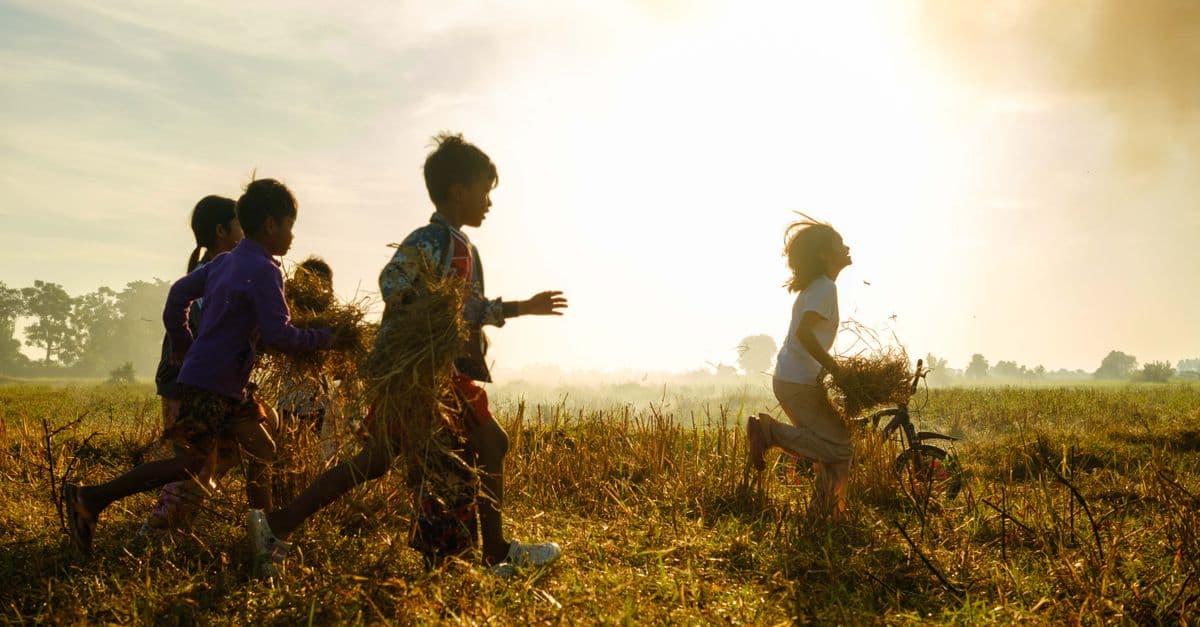 Children running through a field at sunset