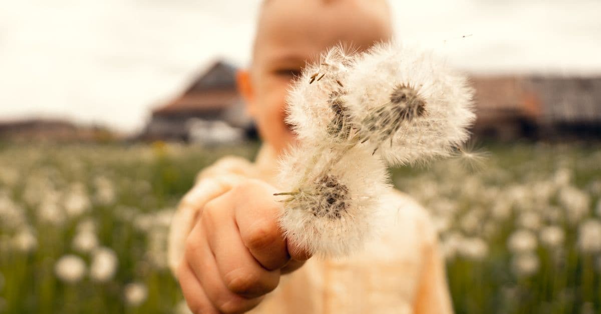 A small hand holding a dandelion in soft light